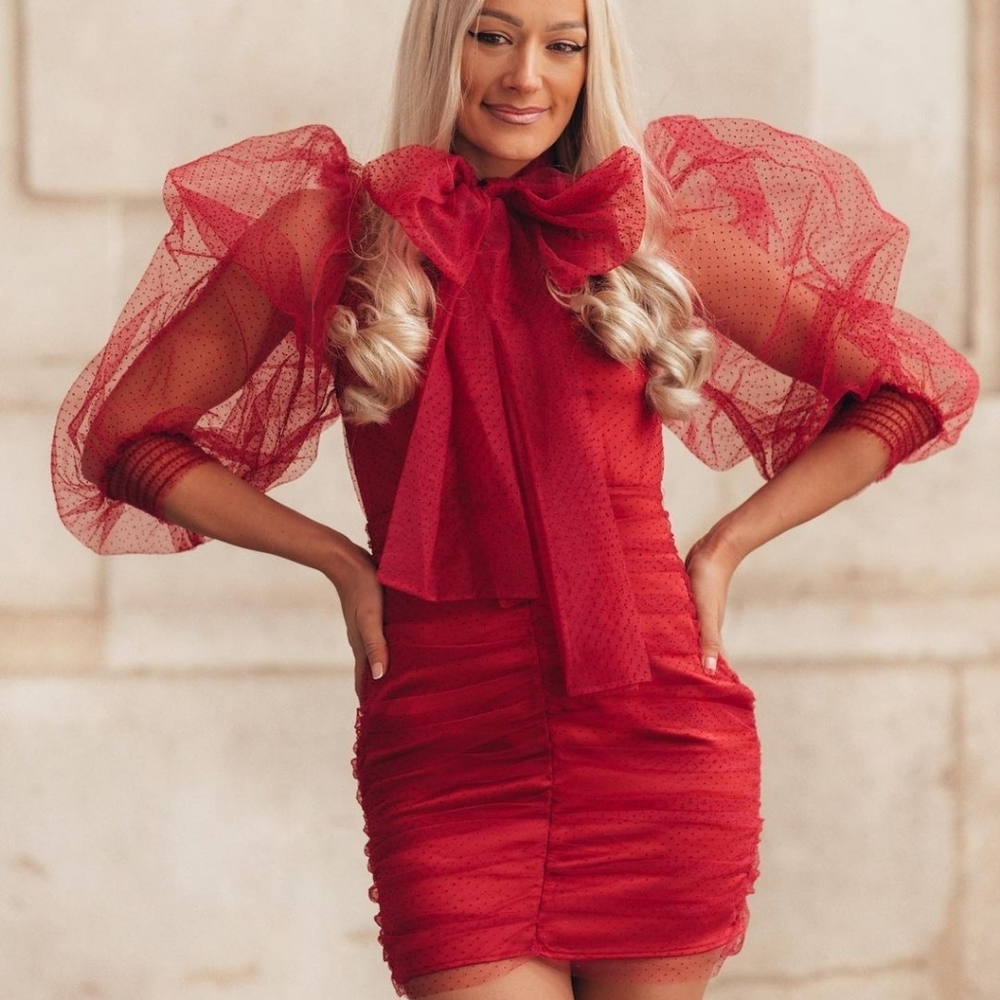 Zara Tulle Swiss dot dress - Picture 9 of 16